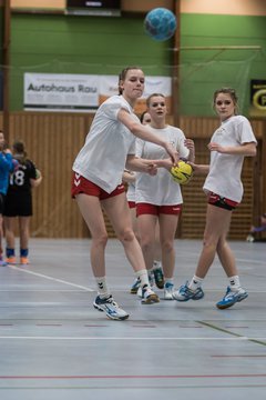 Bild 87 - Damen HSG Kremperheide/M�nsterdorf - Suchsdorfer SV : Ergebnis: 39:22
